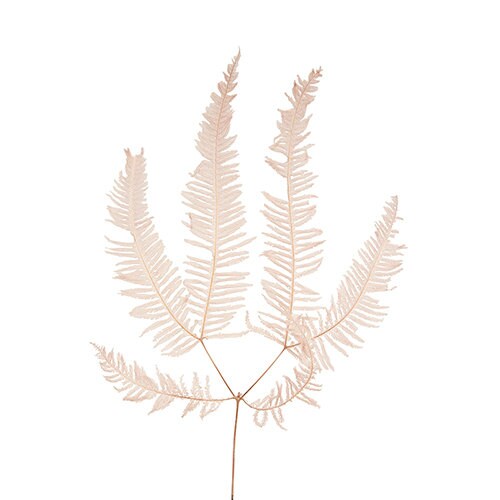 Preserved mountain fern mauve pink; wall decoration, fougere stabilisé
