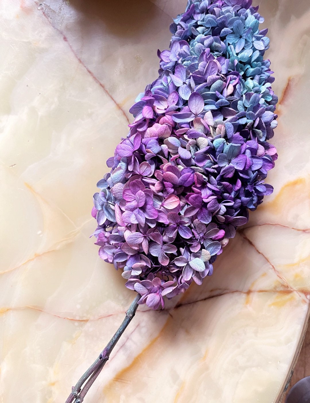 Preserved tower hydrangea bi colored mix gradient D18-20cm, hortensia, decoration de mariage