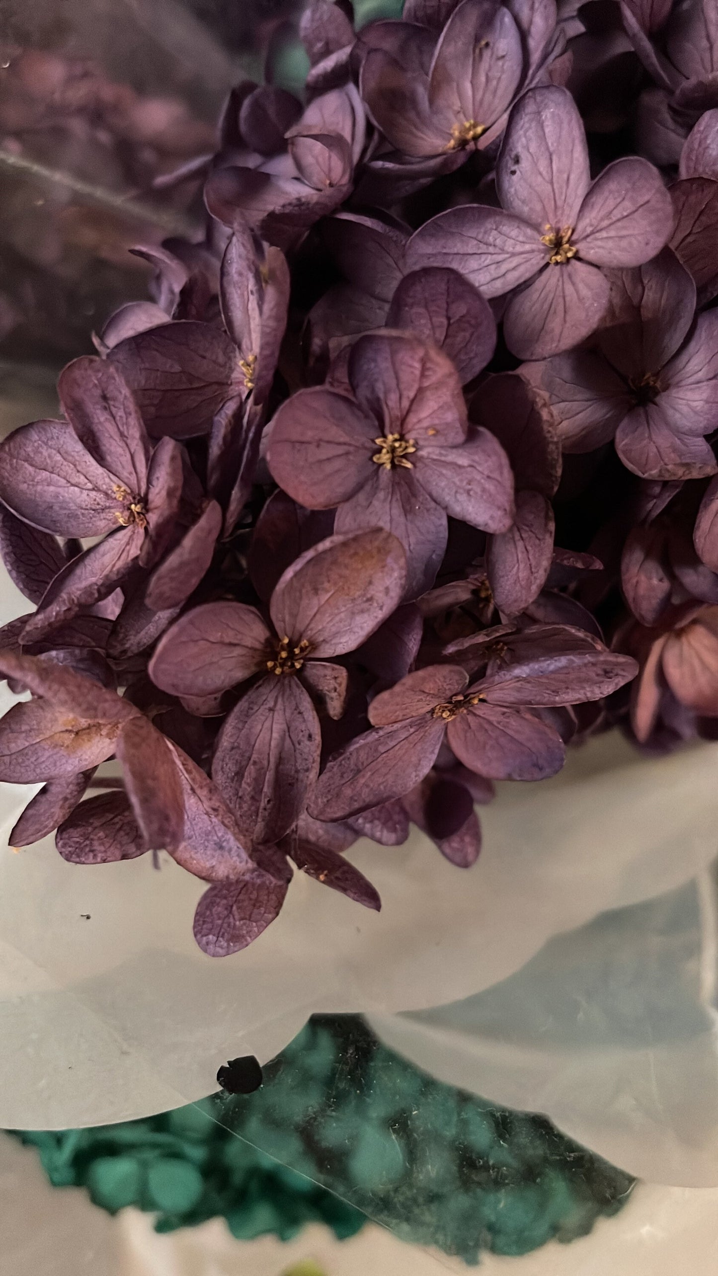 Preserved Hydrangeas paniculata, Burgundy Purple 50cm jewelry tool, Resin DIY, home decoration