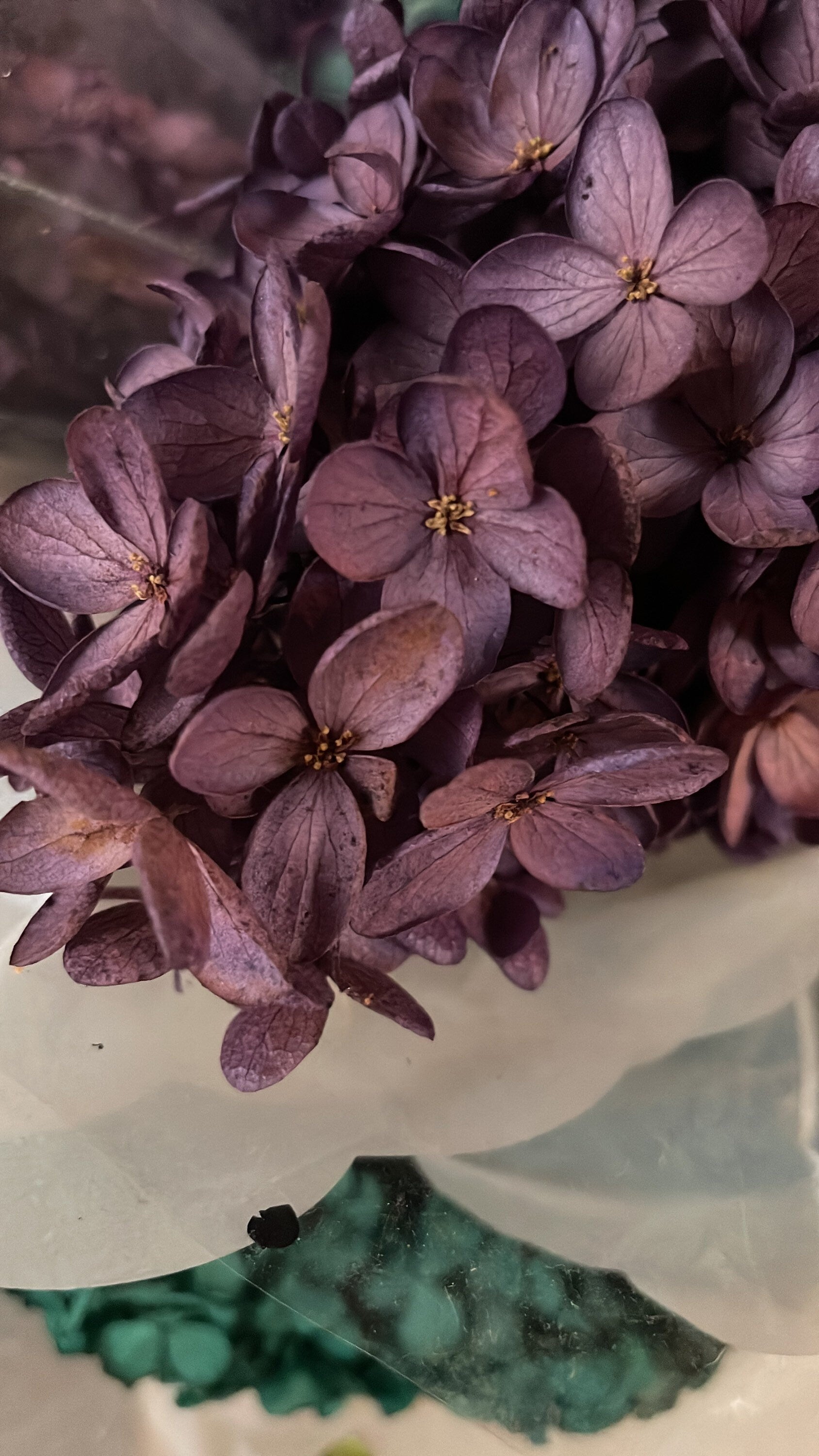 Preserved Hydrangeas paniculata, Burgundy Purple 50cm jewelry tool, Resin DIY, home decoration