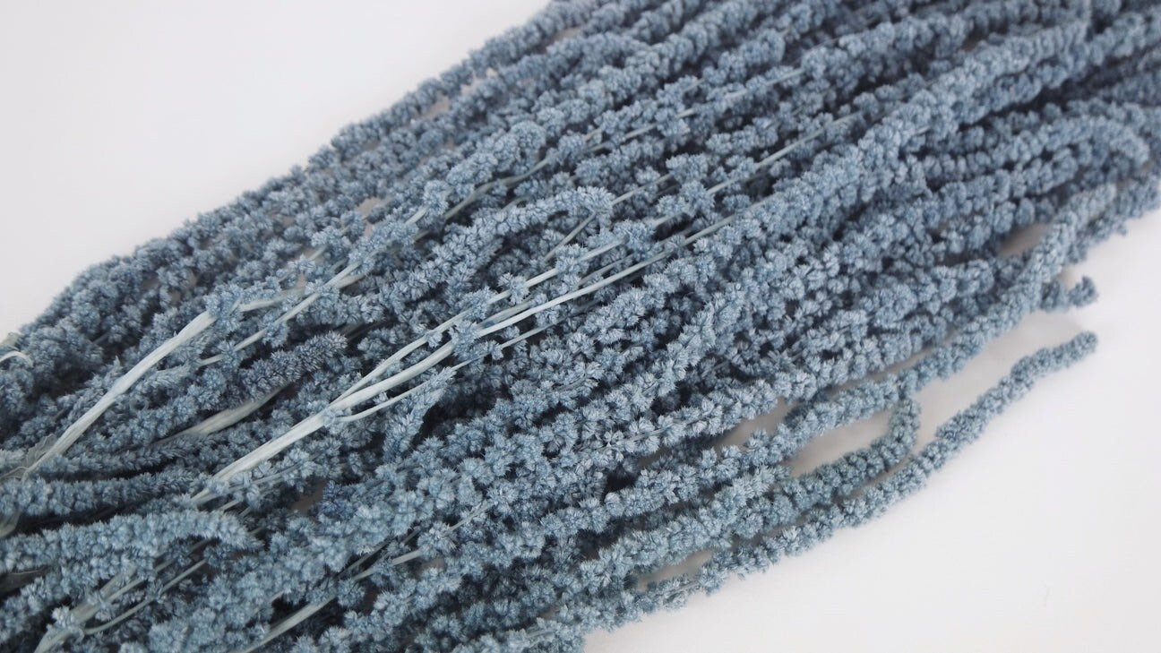 Hanging preserved amaranthus bleu grey hanging plant, wall decor, ceiling decoration
