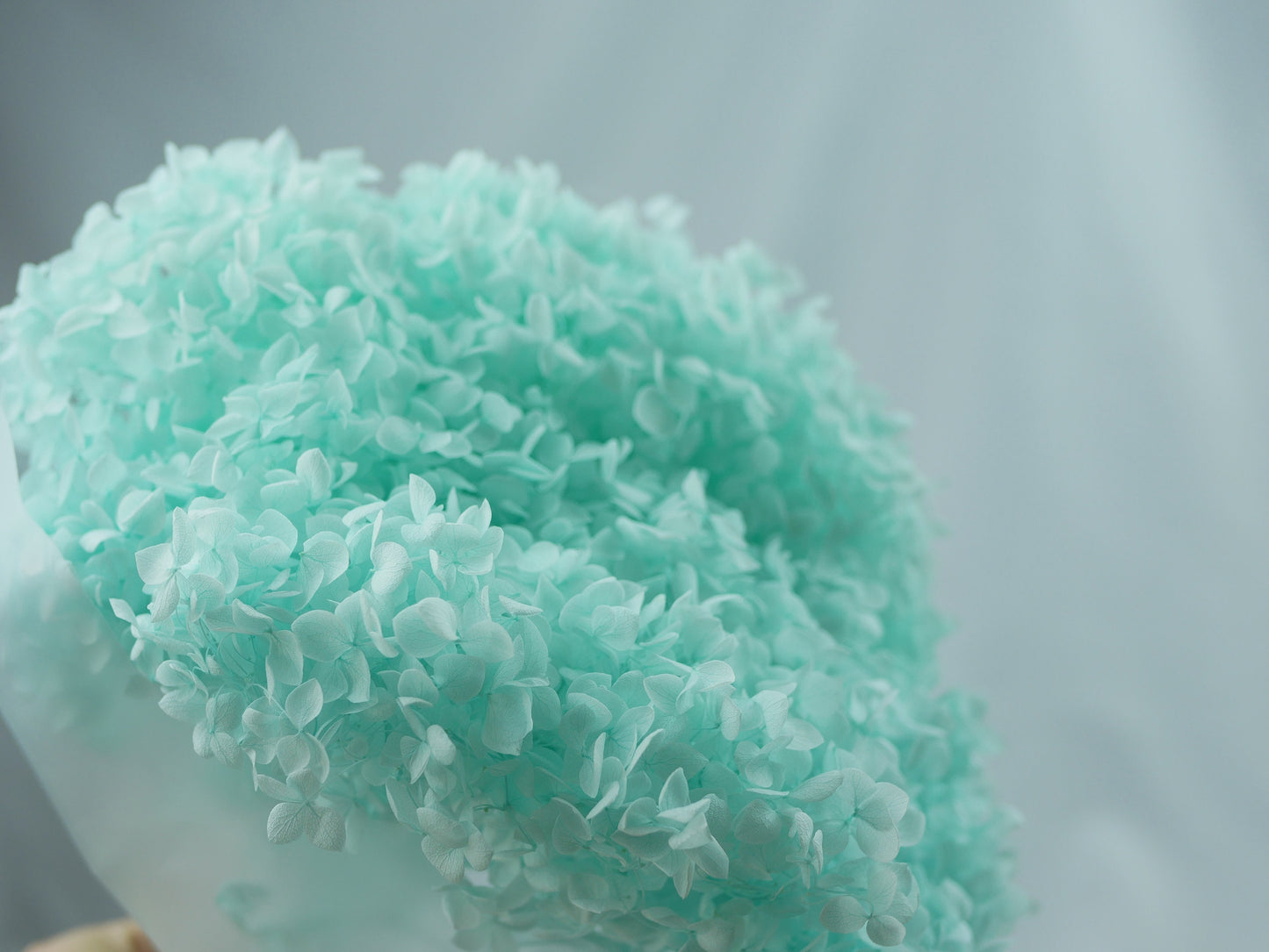 Preserved hydrangea ligh tiffany blue, hortensia, fleurs stabilisé resin DIY soap DIY candle