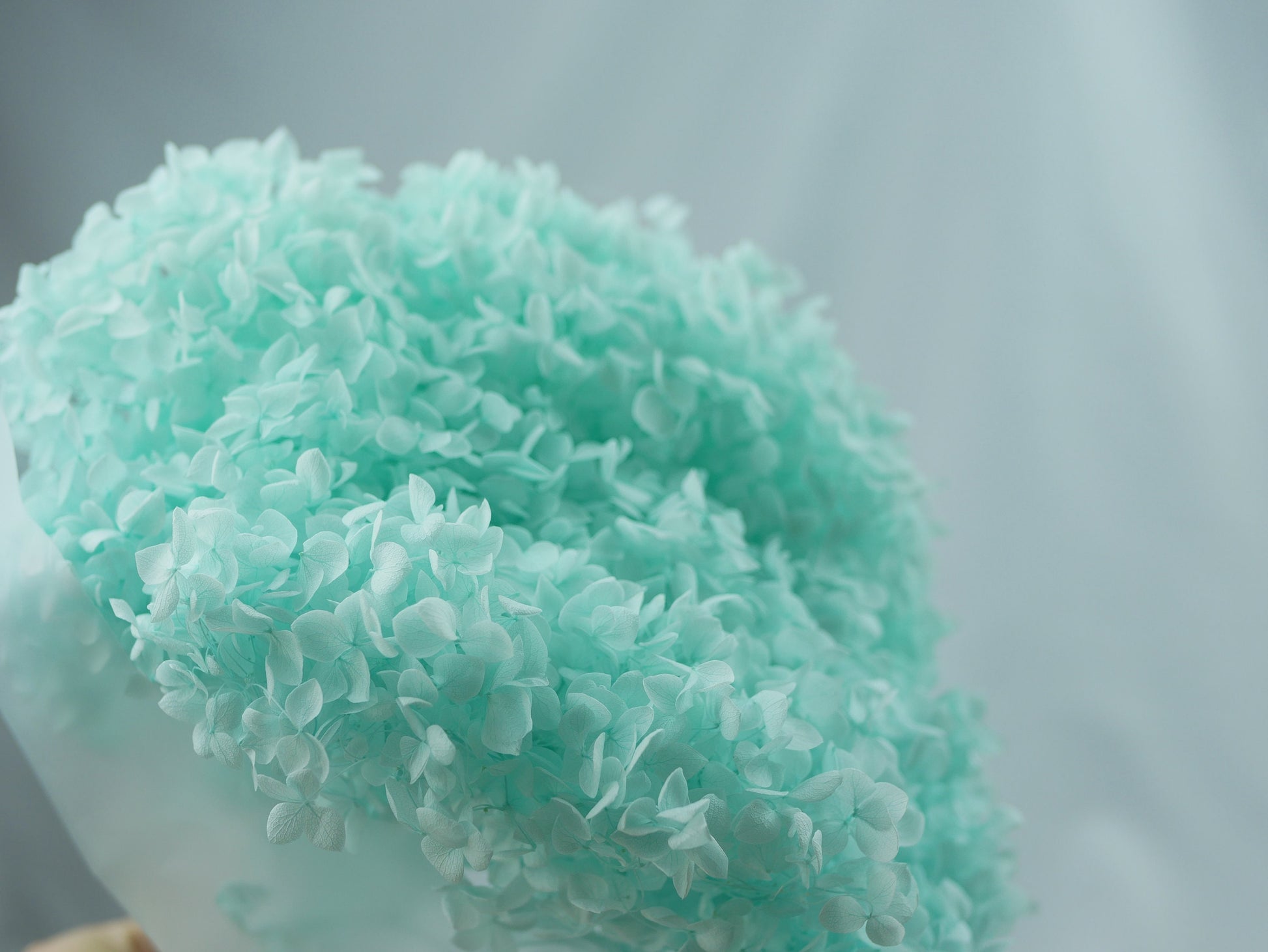 Preserved hydrangea ligh tiffany blue, hortensia, fleurs stabilisé resin DIY soap DIY candle