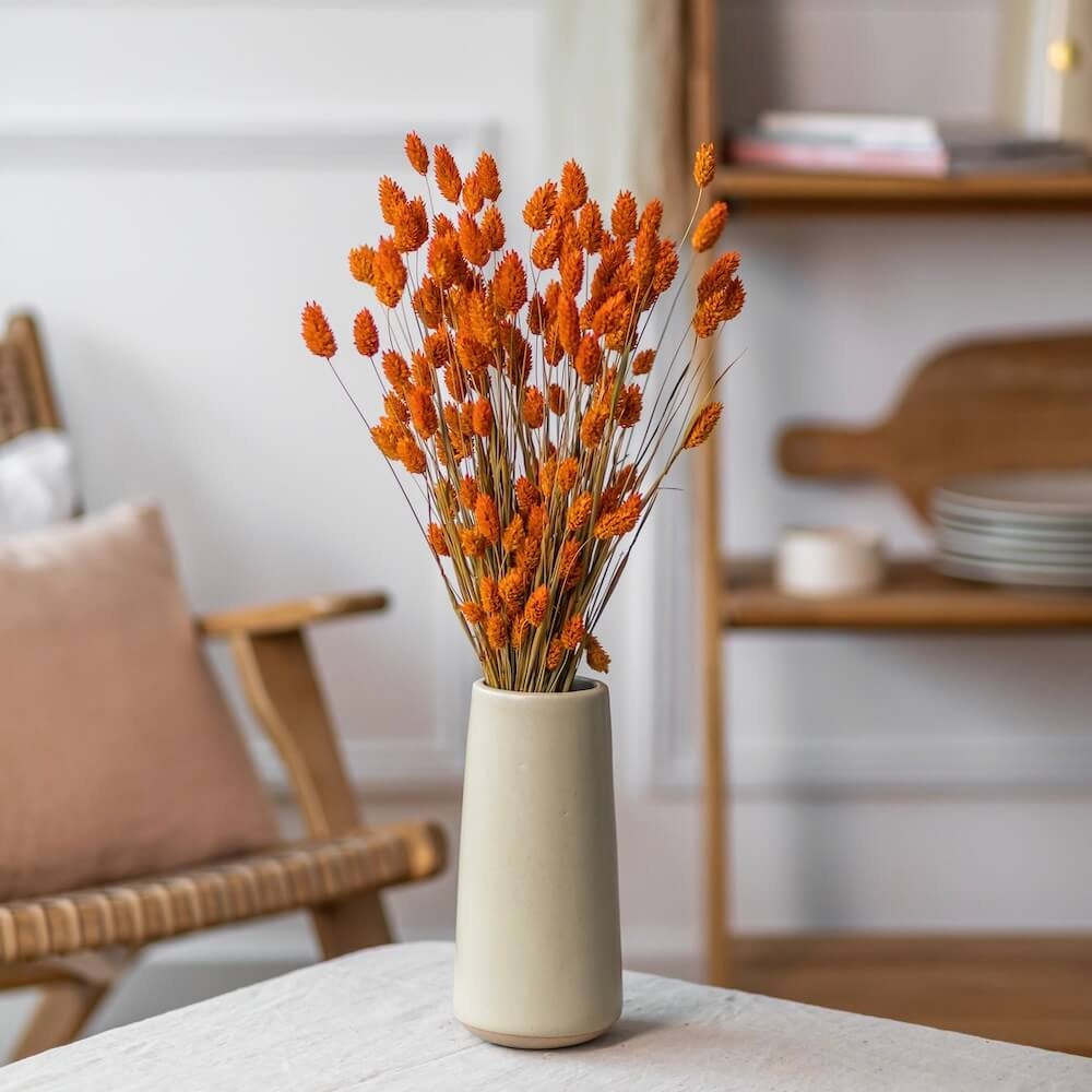 Dried Phalaris orange/terracota 100-120g, decoration, dried flower home decoration 60cm 100g per bunch