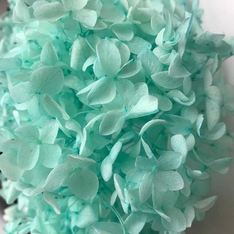 Preserved hydrangea ligh tiffany blue, hortensia, fleurs stabilisé resin DIY soap DIY candle
