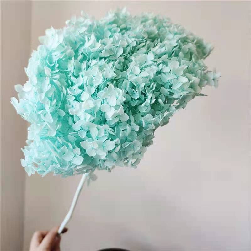 Preserved hydrangea ligh tiffany blue, hortensia, fleurs stabilisé resin DIY soap DIY candle