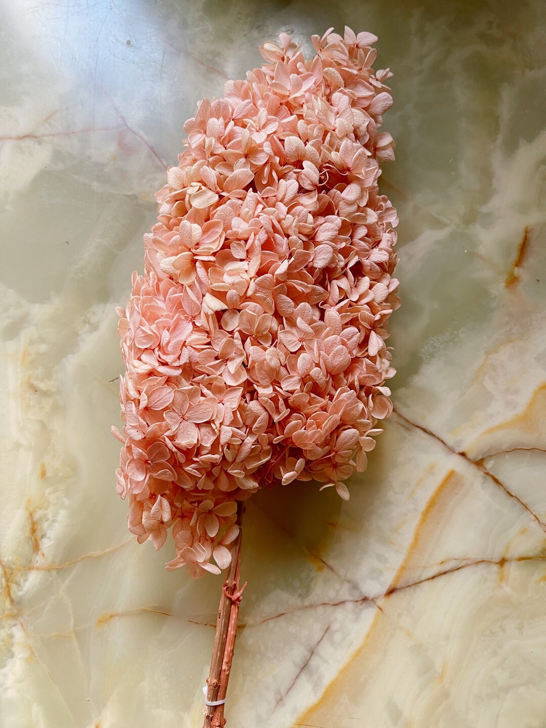 Preserved Hydrangea paniculata orange peach, jewelry tool, Resin DIY, home decoration