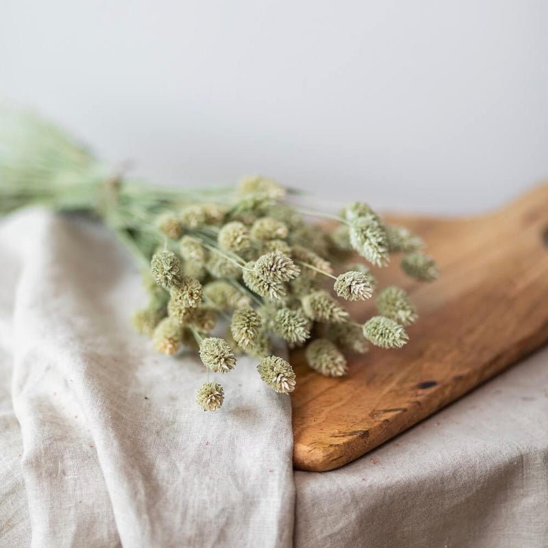 Dried Phalaris natural 80g, decoration, dried flower home decoration 60cm