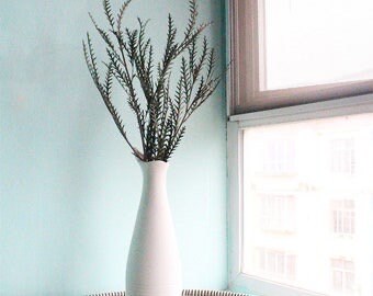 saber tooth fern green preserved, dried flower, fern preserved, kokedama art, DYI projet