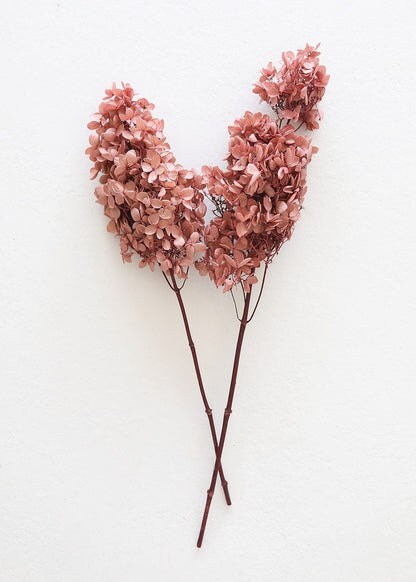 Preserved Hydrangea paniculata, mauve pink Purple 50cm jewelry tool, Resin DIY, home decoration