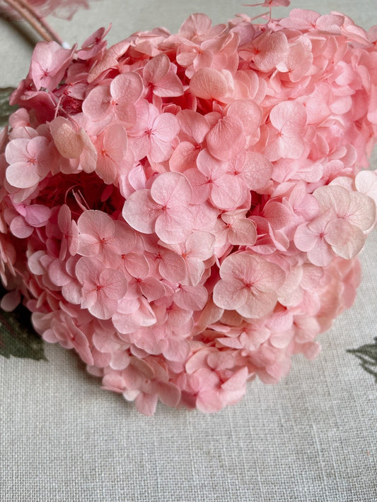 Preserved hydrangea big size D20cm sakura pink, resin diy tool