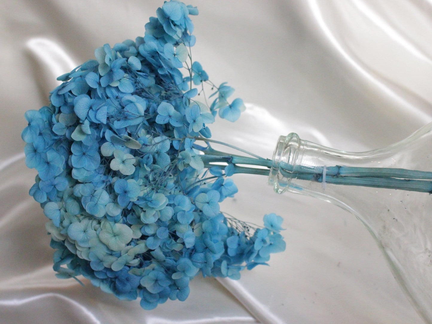 Preserved hydrangea ocean blue, hortensia fleurs stabilisé, resin DIY jewelry