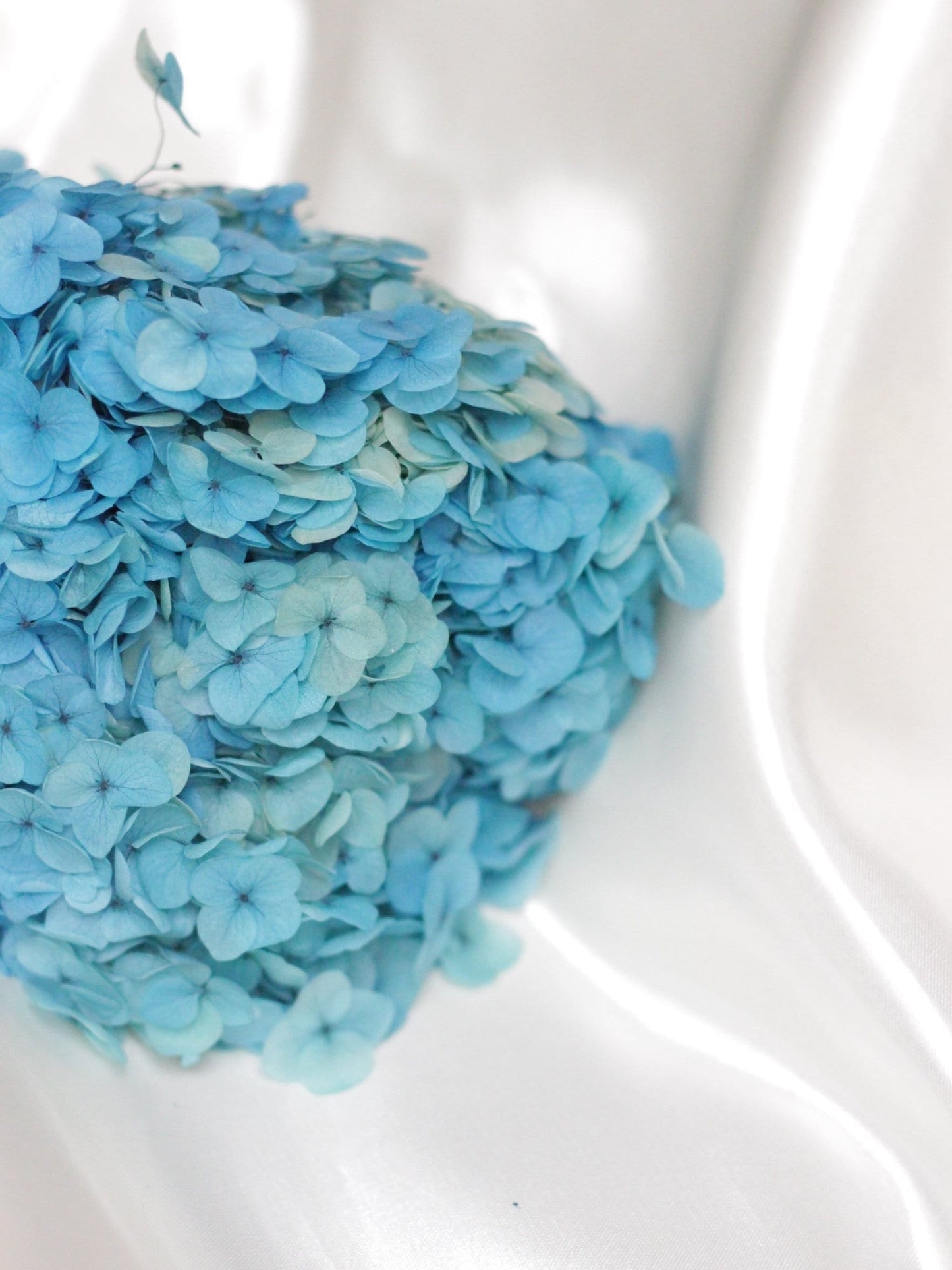 Preserved hydrangea ocean blue, hortensia fleurs stabilisé, resin DIY jewelry