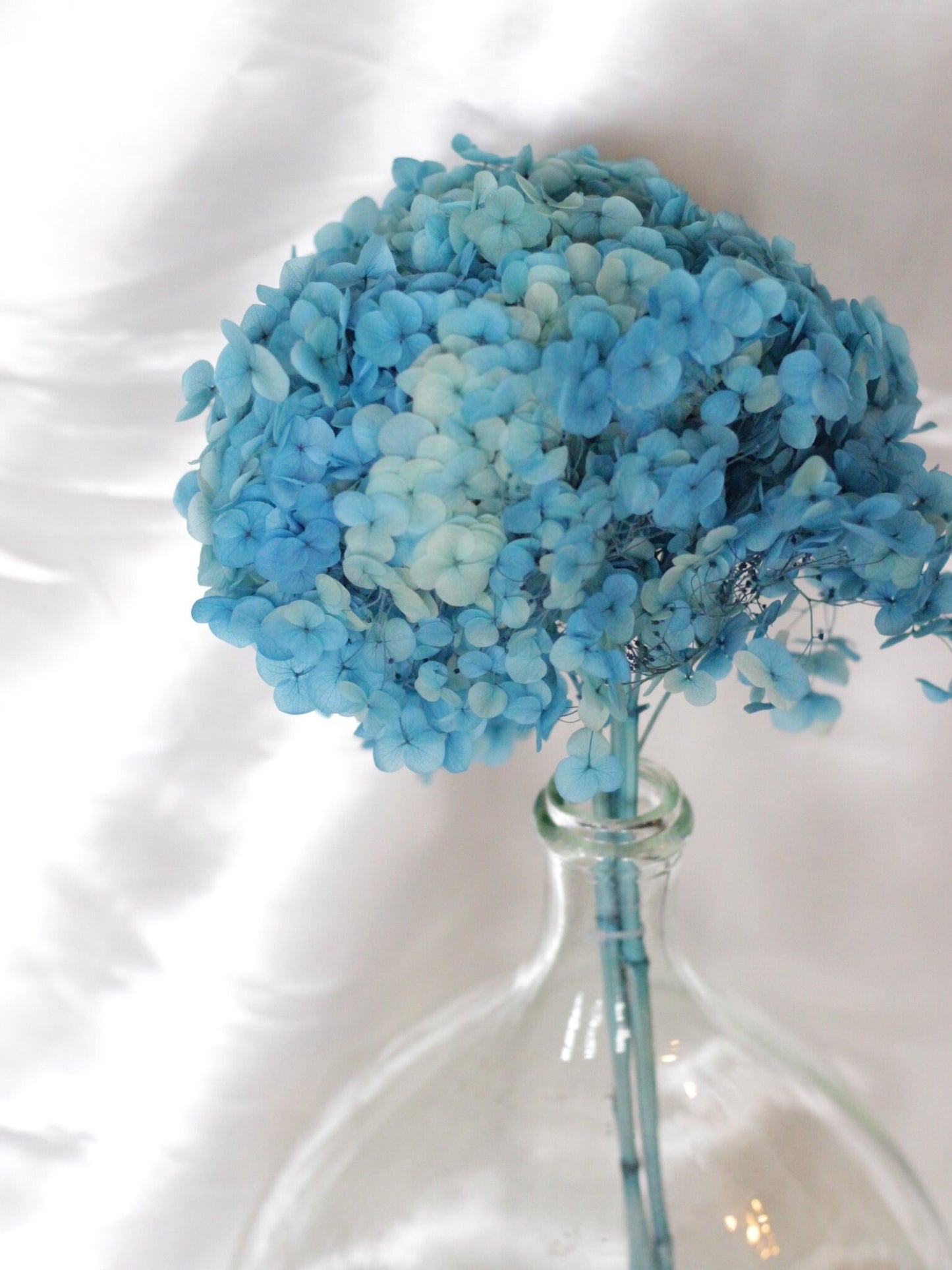 Preserved hydrangea ocean blue, hortensia fleurs stabilisé, resin DIY jewelry