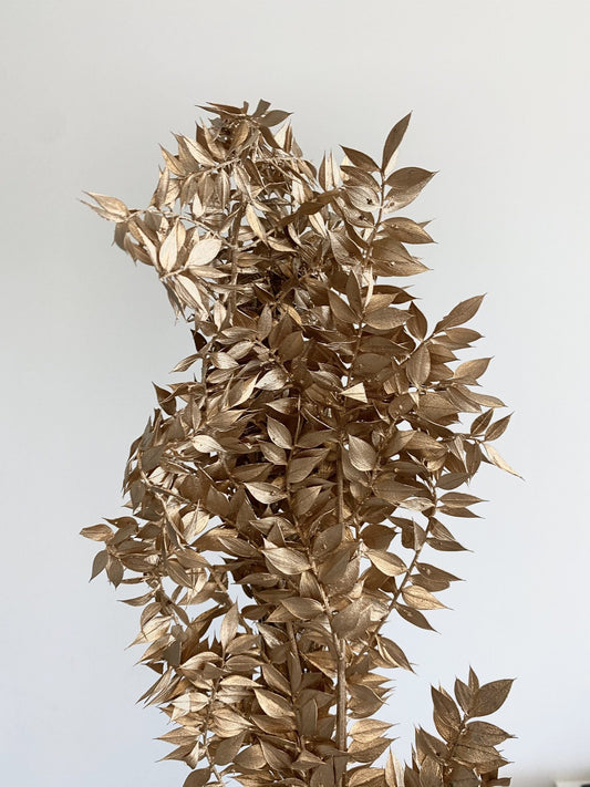 Preserved Metallic Golden Italian Ruscus, gold ruscus, ruscus door decoration H60-80cm