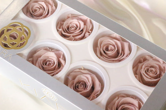 Pack of 8 Preserved Kiara rose vintage pink, rose stabilise, decoration de mariage