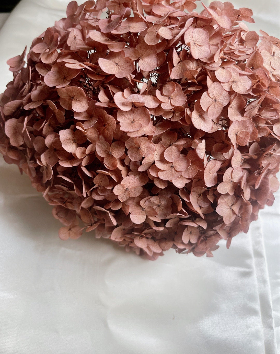 Preserved hydrangea Burgundy color, hortensia fleurs stabilisé, resin DIY jewelry