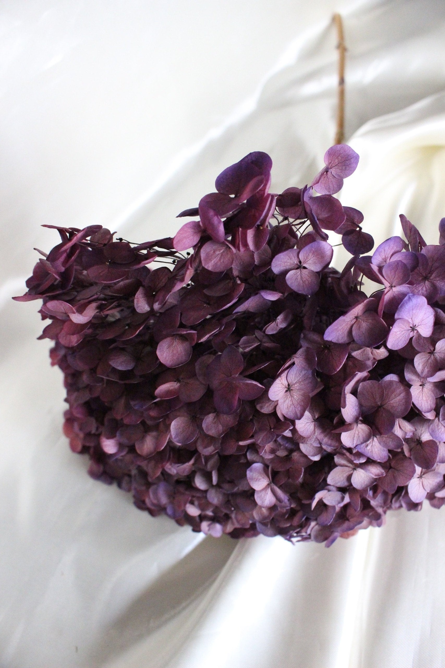 Preserved hydrangea sweet violet D20cm-22cm, hortensia, decoration de mariage