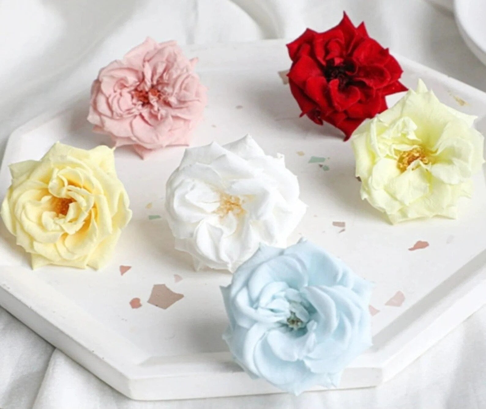 Pack of 12 Preserved Kiara wild rose dark red, rose sauvage stabilise, decoration de mariage, DIY jewellery