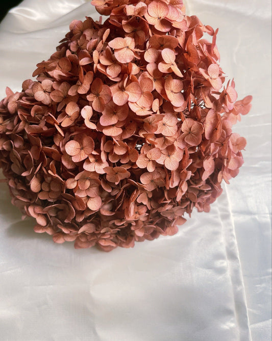 Preserved hydrangea Burgundy color, hortensia fleurs stabilisé, resin DIY jewelry