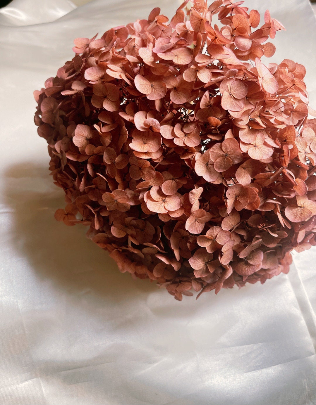 Preserved hydrangea Burgundy color, hortensia fleurs stabilisé, resin DIY jewelry