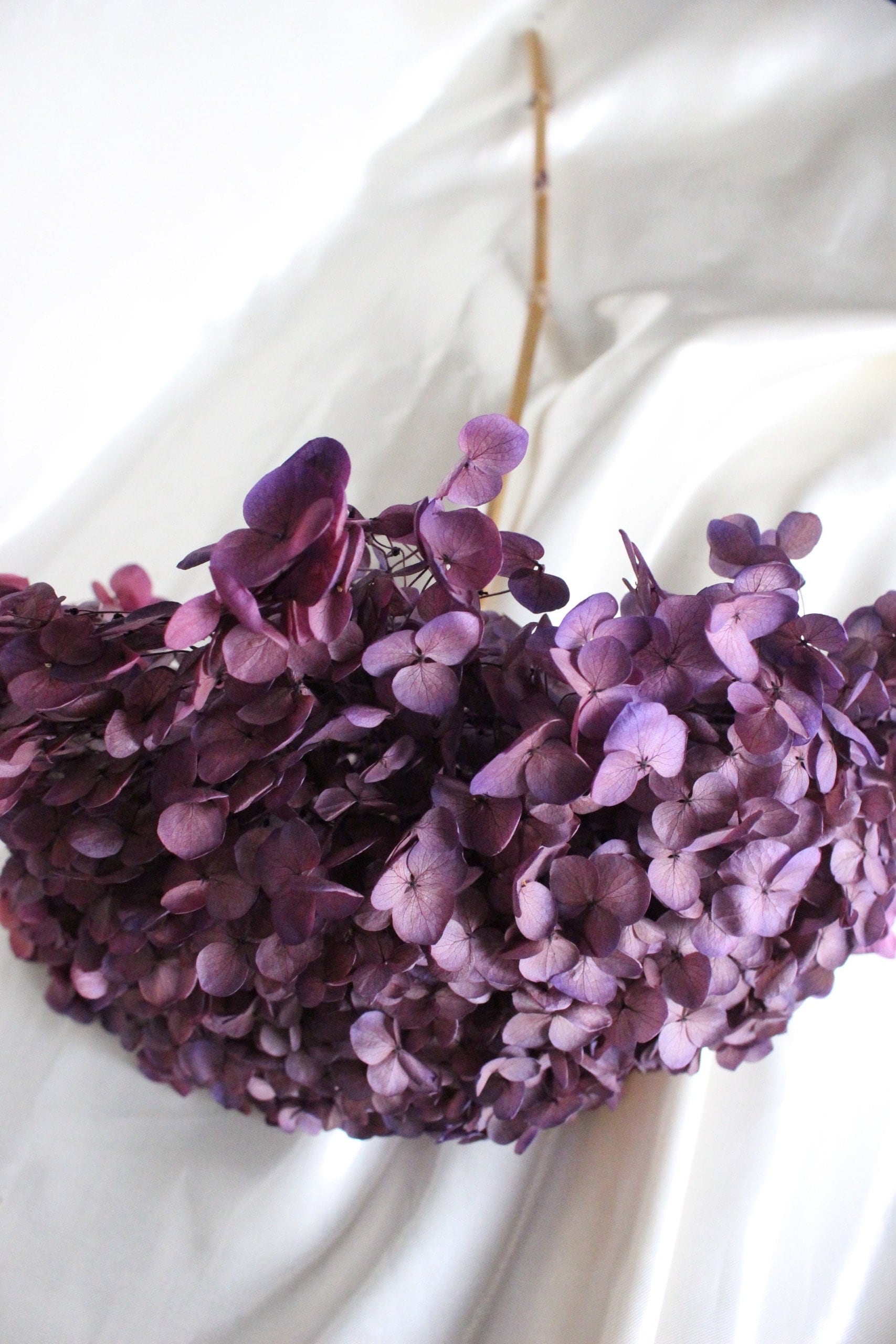 Preserved hydrangea sweet violet D20cm-22cm, hortensia, decoration de mariage