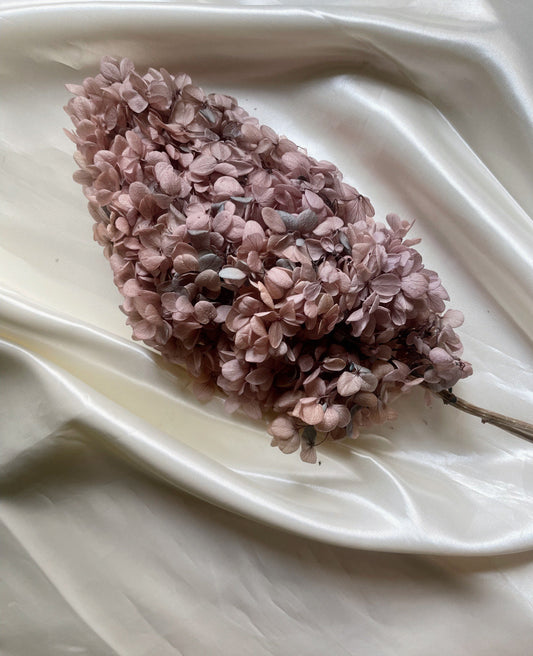 Preserved Hydrangeas paniculata bicolore light purple mix green jewelry tool, Resin DIY, home decoration