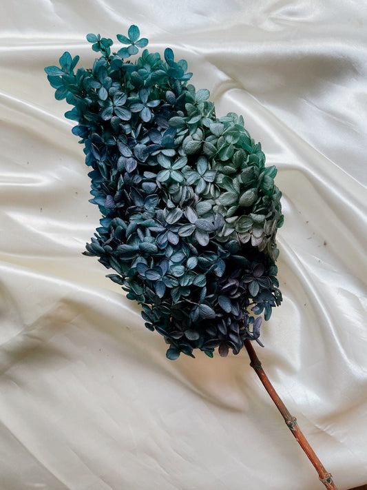 Preserved Hydrangeas paniculata duck green 50cm jewelry tool, Resin DIY, home decoration