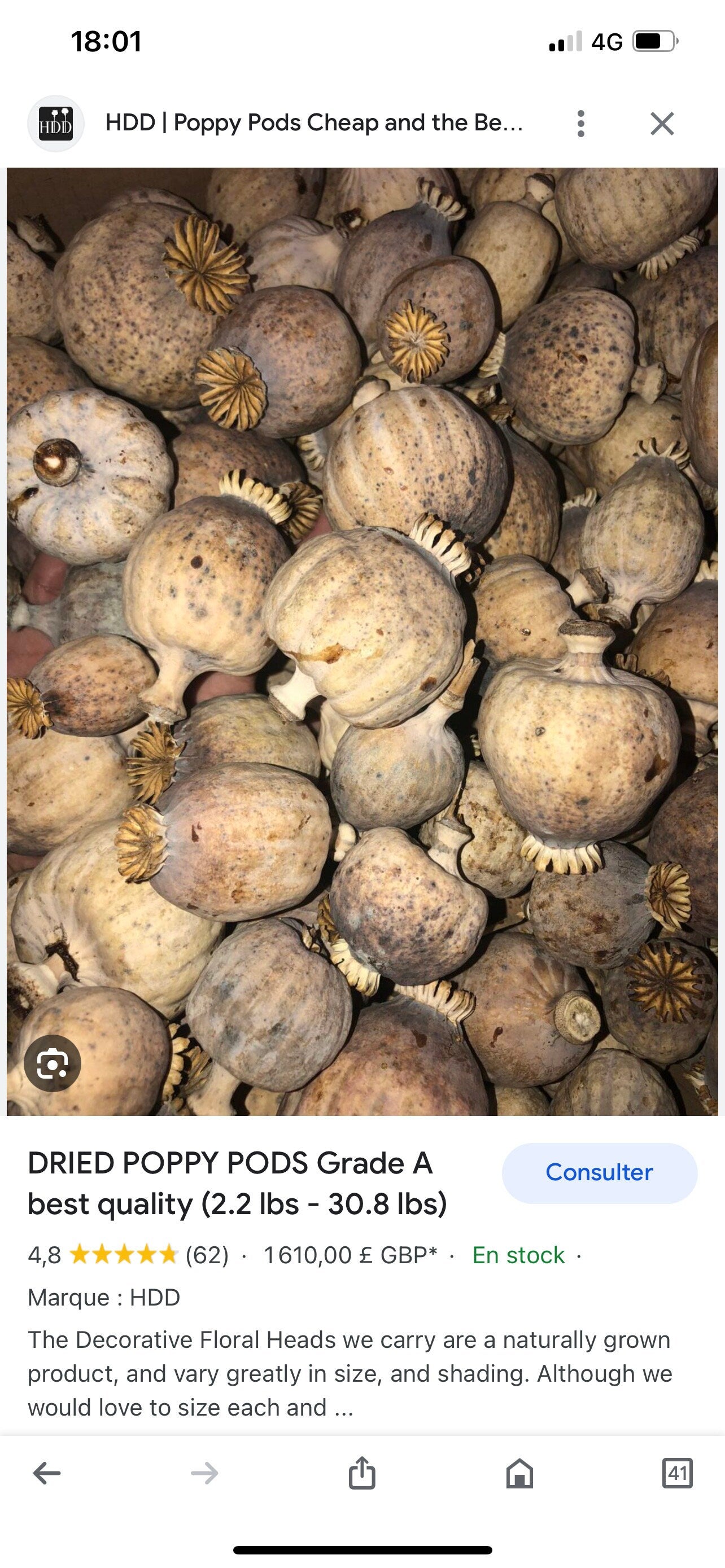 popy for decoration, dried flower home decoration rustique 10 branches per bunch