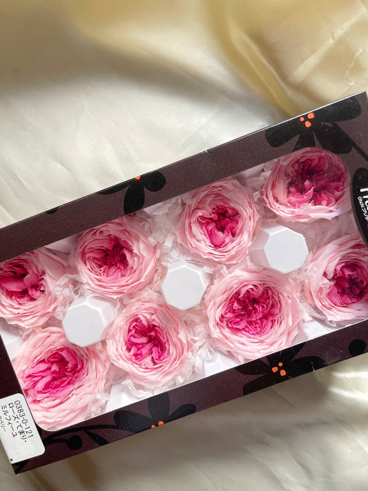 Pack of 8 Preserved rose White pure size L 5-6cm, decoration de mariage, DIY jewelry