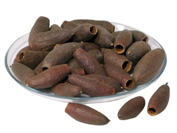 Jequitiba, fleur séché, home decoration rustique