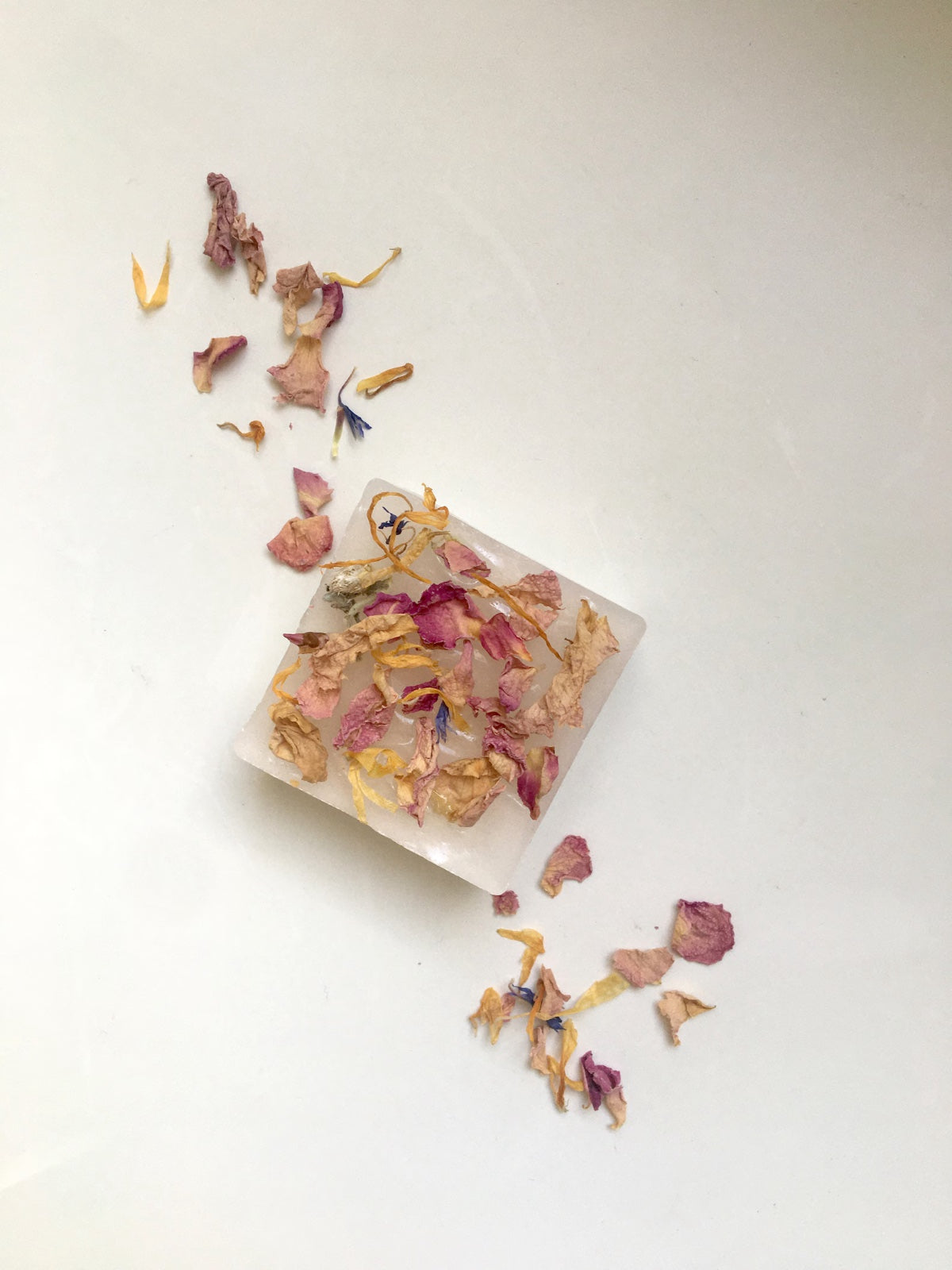 Botanical handmade soap workshop