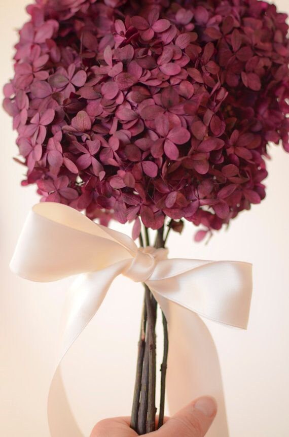 Big size preserved Hydrangea dark fushia color, hortensia, diy tool, wedding accessoires