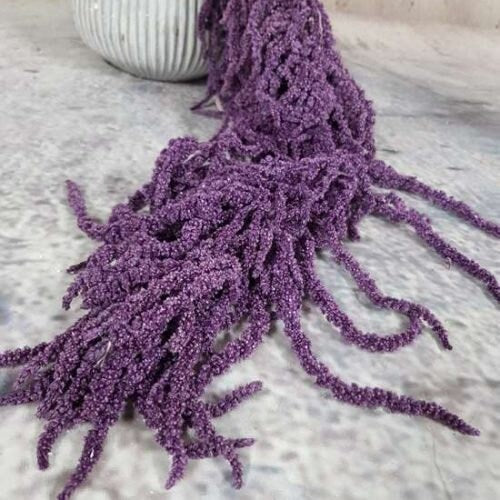 Preserved amaranthus vintage violet H50-80cm, wall decoration