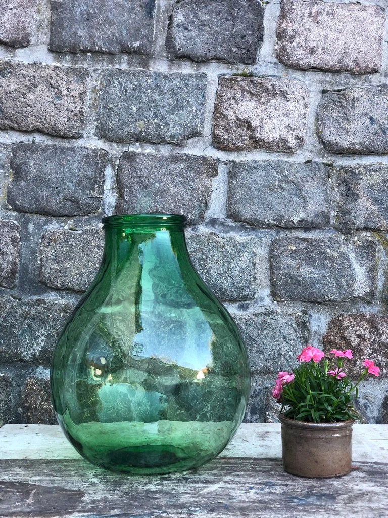 AncienXL size 22L Antique French Demijohn/Dame jeanne light green grande ouverture terrarium