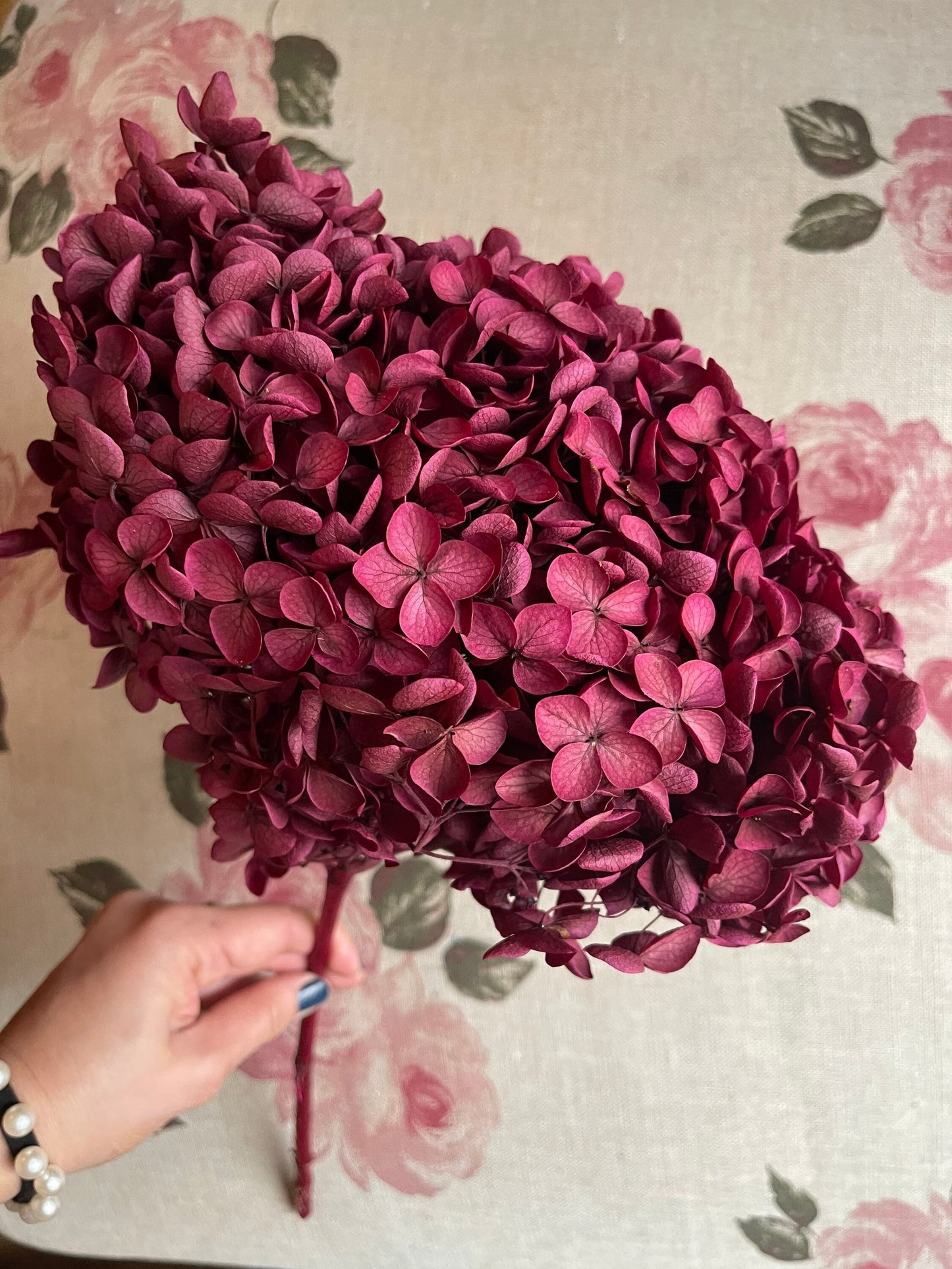 Big size preserved Hydrangea dark fushia color, hortensia, diy tool, wedding accessoires