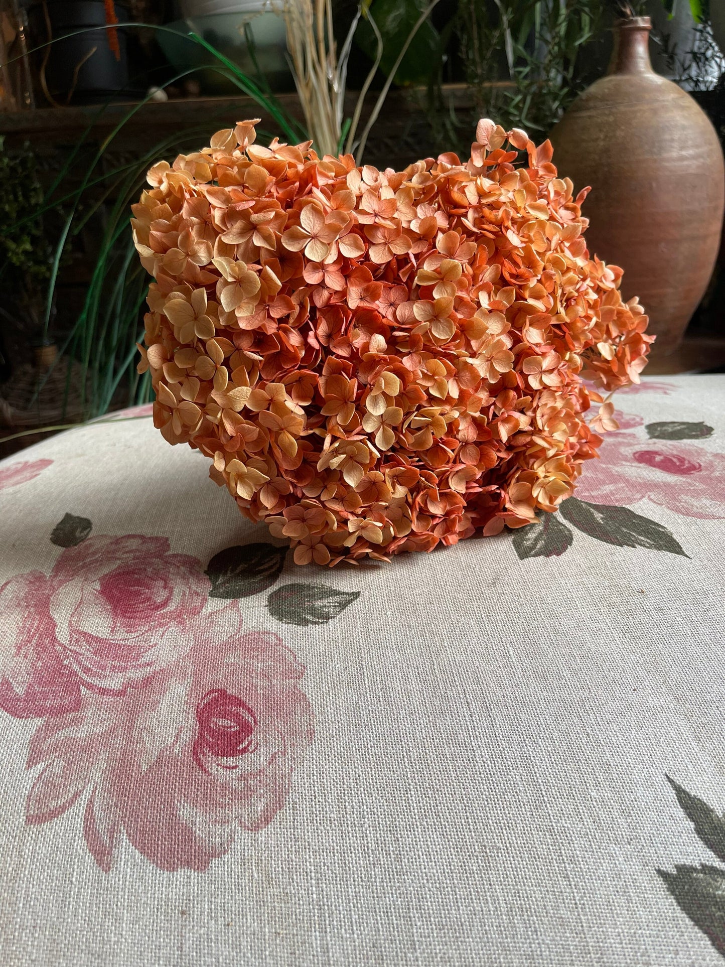 Preserved hydrangea big size 20cm diameter retro Sunset gradient Orange mix yellow color