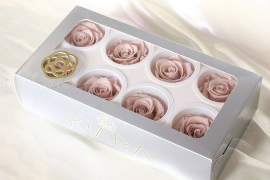 Pack of 8 size M Preserved Kiara rose vintage pink, rose stabilise, decoration de mariage