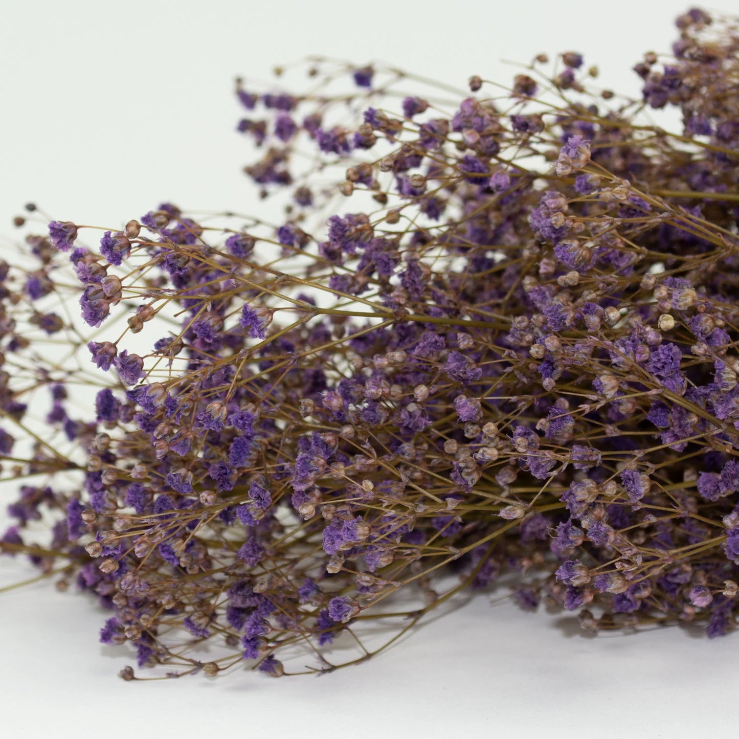 Baby breath preserved, gypsophila stabilise light purple baby breath, 100g per bunch