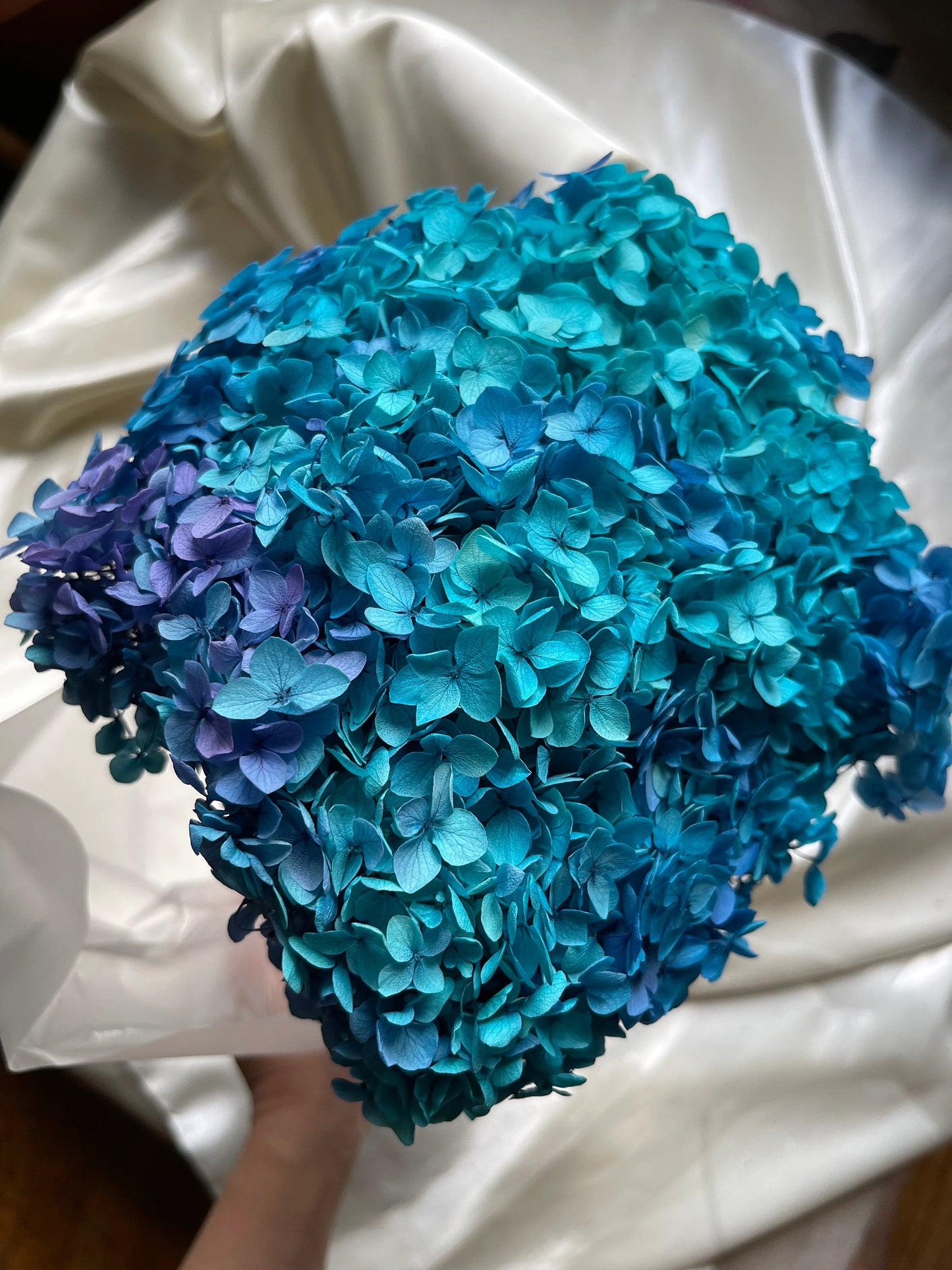 Preserved hydrangea big size 20cm diameter retro Blue purple gradient