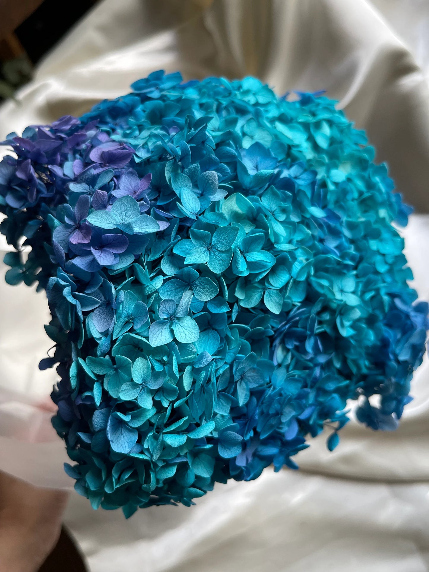 Preserved hydrangea big size 20cm diameter retro Blue purple gradient