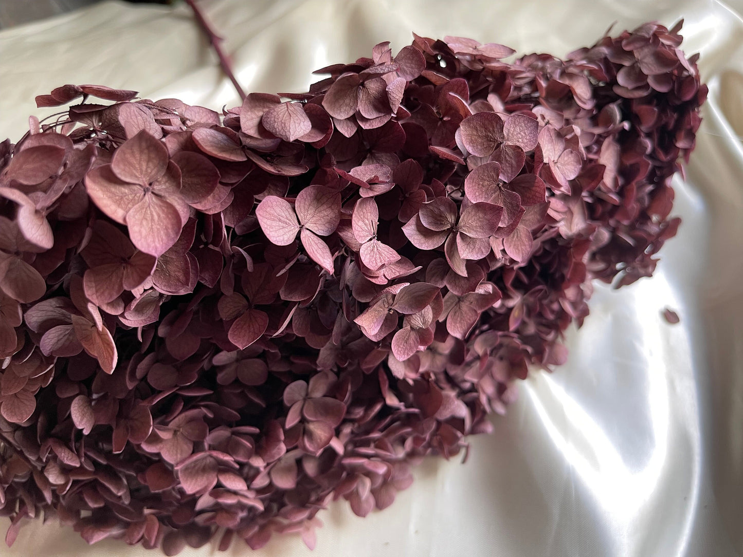 Preserved Hydrangea paniculata, mauve pink Purple 50cm jewelry tool, Resin DIY, home decoration