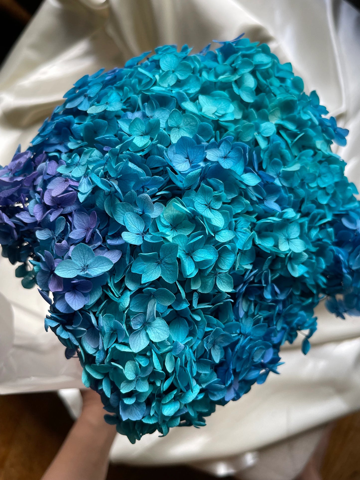 Preserved hydrangea big size 20cm diameter retro Blue purple gradient