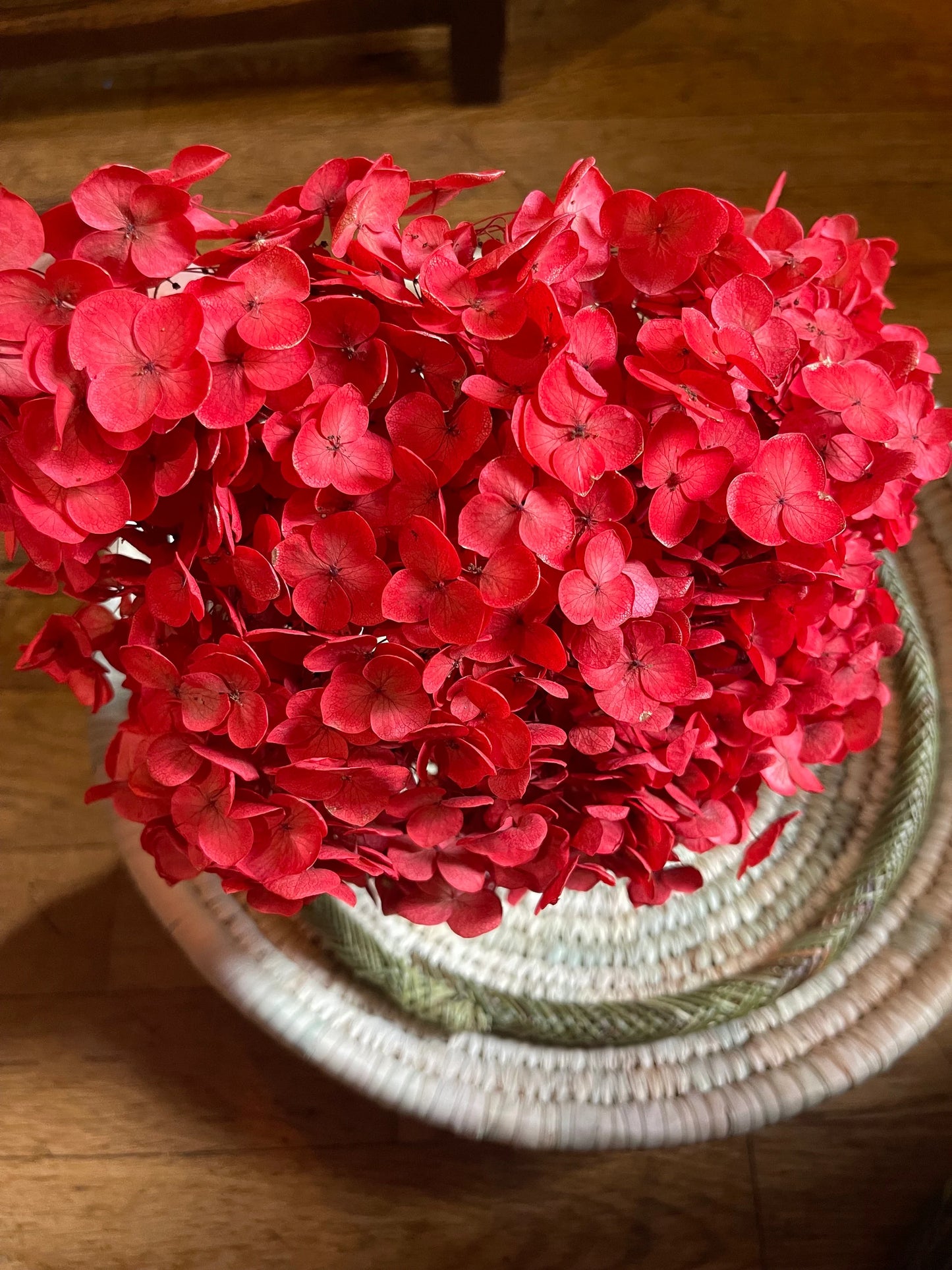 Preserved hydrangea neon Red color, horstensia preservé, stabilisé, diametre 20cm