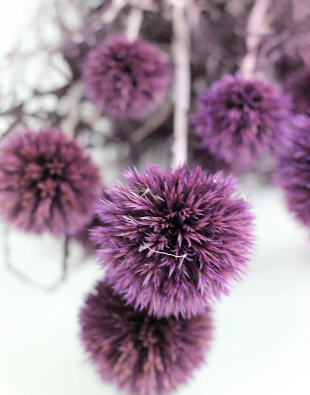 Preserved Purple Thistle 10 stems per bunch- home decoration