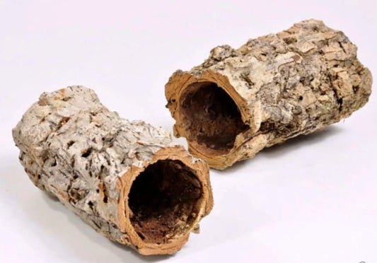 Pack of 3 Decorative natural dried cork tube for terrarium/reptile house - decoration - shooting photo - DIY tool