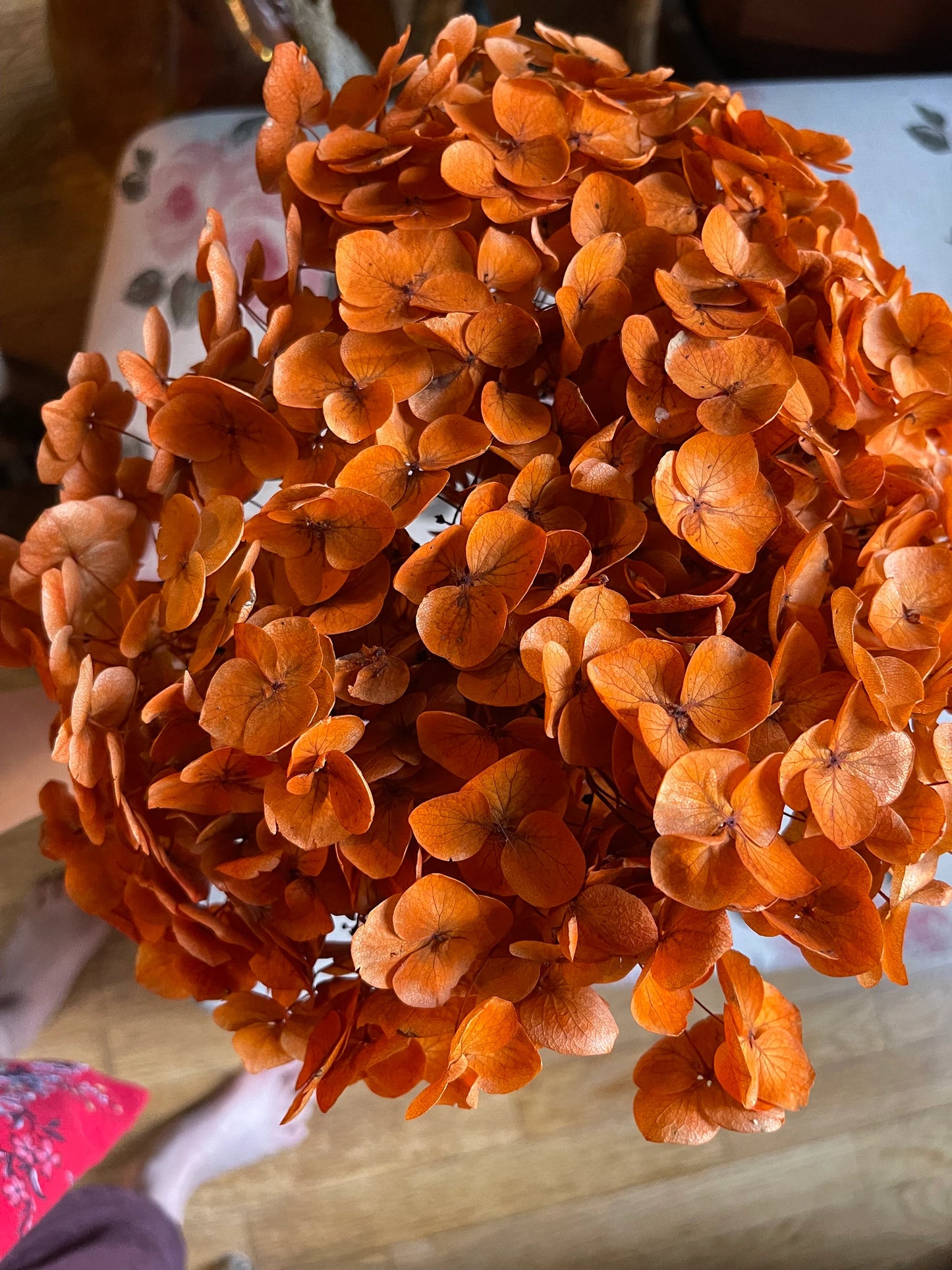 Preserved hydrangea Neon orange D20cm-22cm, hortensia, decoration de mariage