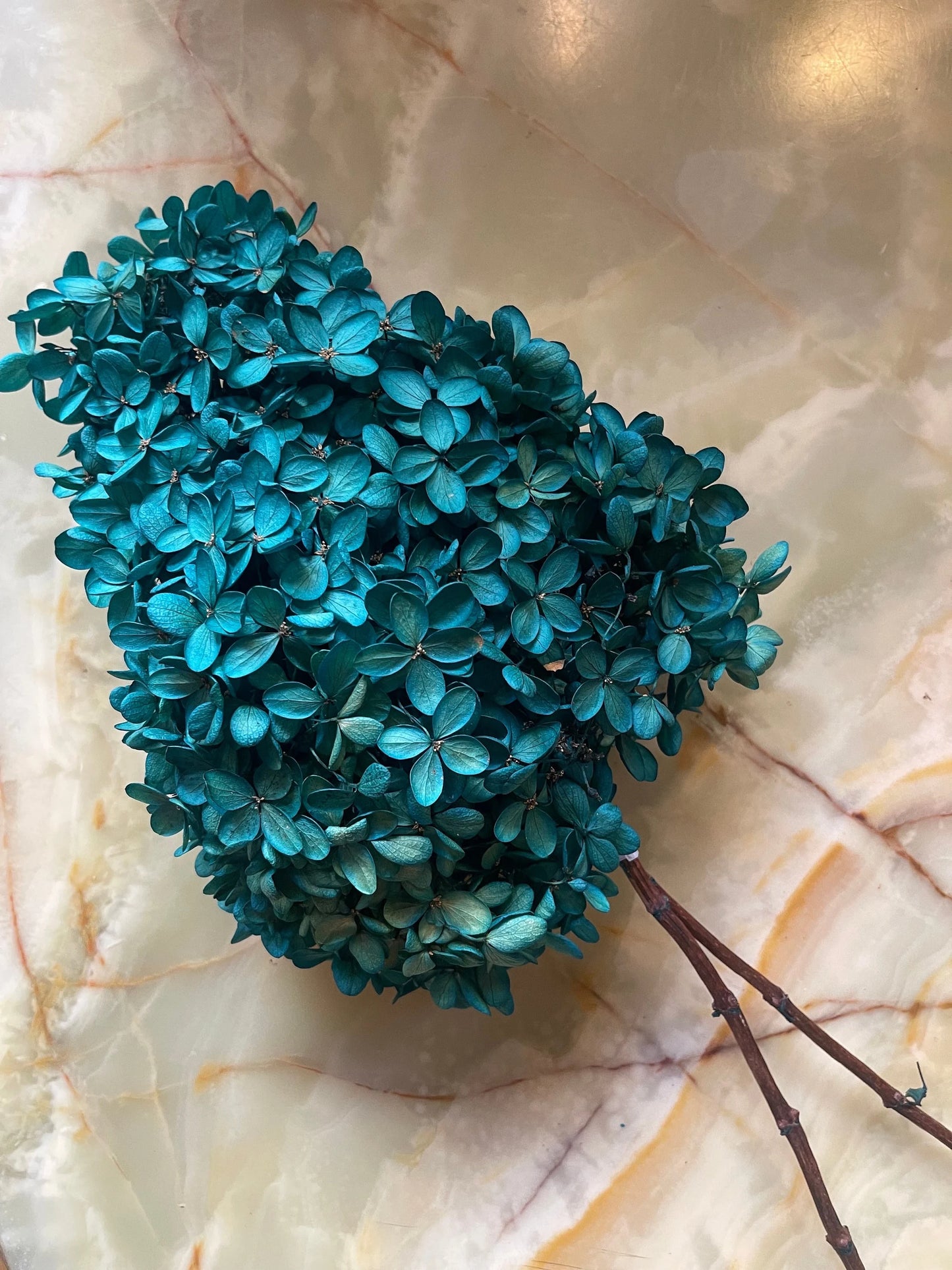 Preserved Hydrangea paniculata blue sapphire 50cm jewelry tool, Resin DIY,  home decoration