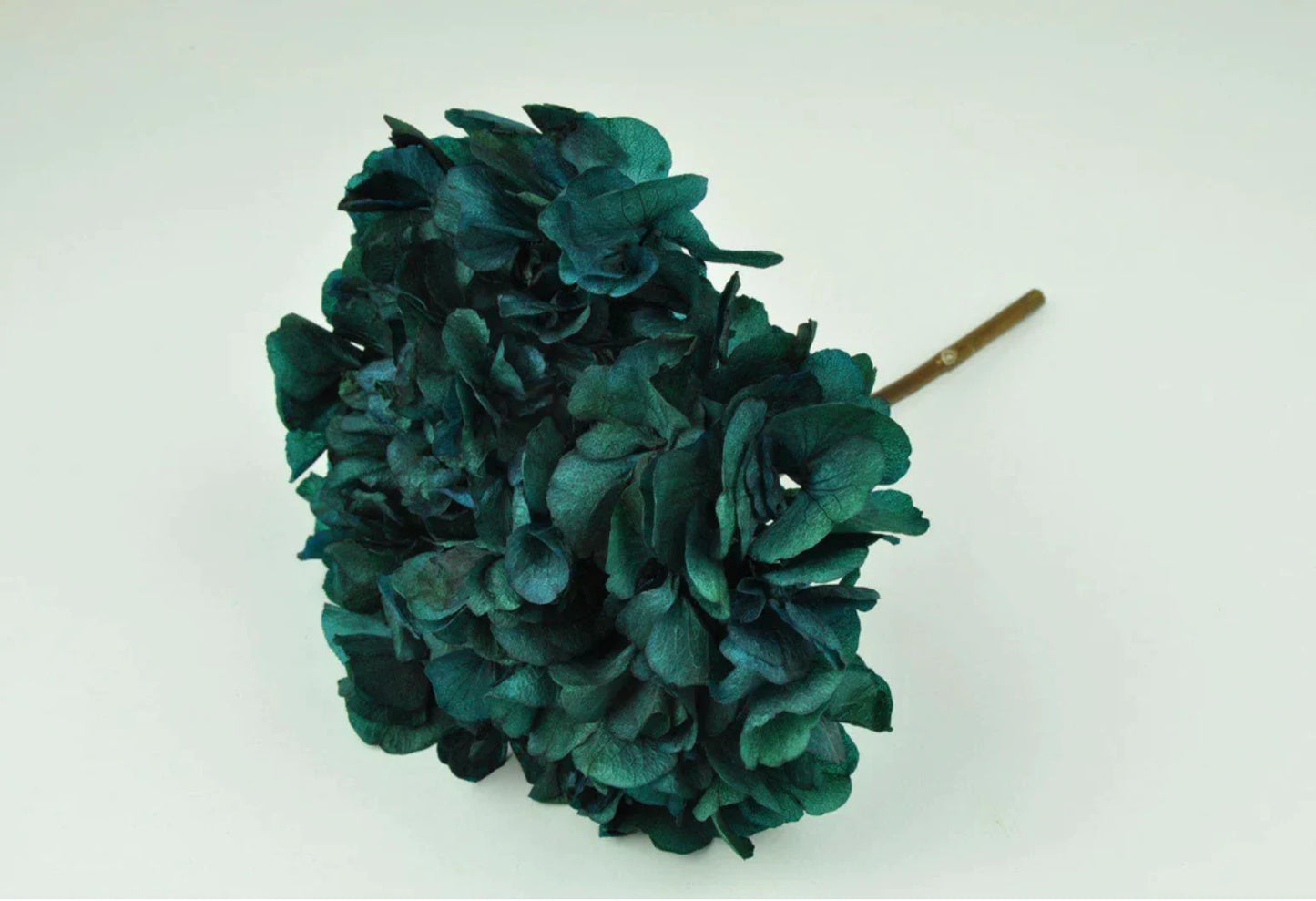 Big petal preserved hydrangea blue metallic, DIY bijoux, Hortensia, Resin, handcraft, home decoration