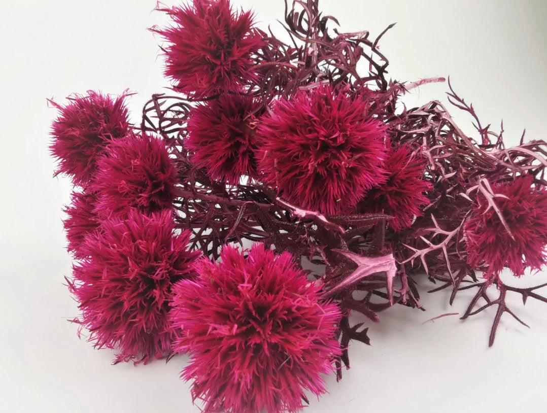 Preserved fuchsia Thistle 10 stems per bunch- home decoration